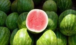 同学吃的瓜视频