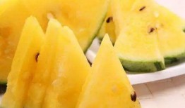 最早的吃瓜图,古风图鉴中的趣味瞬间