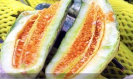 云仙吃瓜,揭秘娱乐圈幕后故事