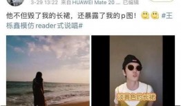 离异征婚吃瓜,娱乐圈的甜蜜瓜田