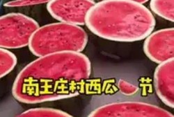 保定理工吃瓜,一场“吃瓜”事件背后的真相揭秘