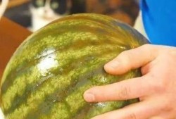 晴沫吃瓜,揭秘娱乐圈那些不为人知的幕后故事