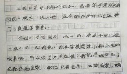 关灯吃瓜作文,关灯吃瓜，品味生活百态