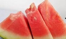 19中今天吃瓜,揭秘校园里的新鲜趣事