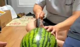 吃瓜怎么播放不了,揭秘播放难题背后的技术迷雾