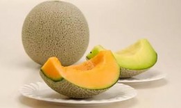 吃蜜瓜嘴里苦苦的