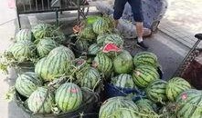 宜兴河边吃瓜事件,一场引发热议的街头冲突瞬间