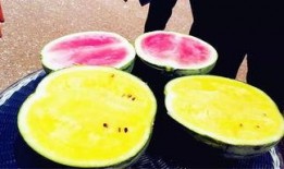 宝坻吃瓜爆料,揭秘当地热点事件背后的真相