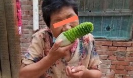 贾婆婆吃瓜全集,揭秘娱乐圈背后的秘密与笑料