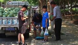 萍乡市吃瓜群众,吃瓜群众的热议焦点