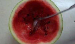 吃瓜昏迷,揭秘背后惊人真相