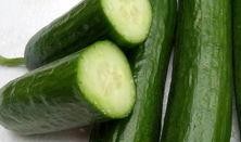 吃绿瓜减肥吗,揭秘绿色蔬菜的神奇瘦身效果”