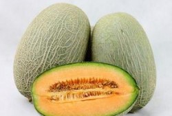 茄子与哈密瓜能一起吃吗,探究能否同食的健康之谜