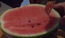 吃瓜群众的幽默说法,揭秘娱乐圈那些让人捧腹大笑的幕后故事