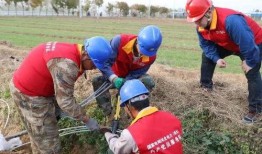 吃瓜群众60秒,吃瓜群众热议焦点