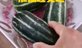 吃瓜睡觉图片大全,趣味瞬间大盘点