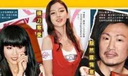 都是吃瓜高手小说,揭秘娱乐圈背后的秘密风云