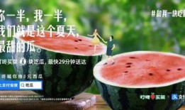 路边吃瓜文案视频,捕捉生活百态