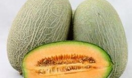 便血吃哈密瓜行吗,天然食疗新选择