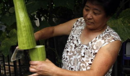 会长吃瓜 爆料,揭秘娱乐圈不为人知的幕后故事