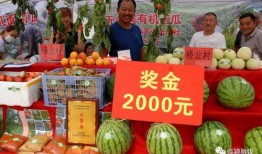 临颍 吃瓜,瓜田里的欢乐时光