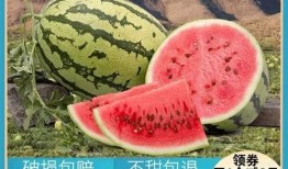 孕妇可以吃砂瓜,孕妇适宜食用的砂瓜营养解析