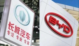 长城比亚迪吃瓜群众,吃瓜群众视角下的汽车巨头对决