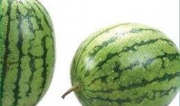 吃毛瓜会过敏吗,了解毛瓜过敏症状及预防措施