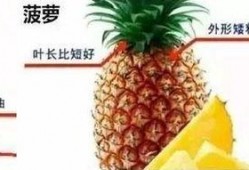 台湾凤梨吃瓜群众视频,揭秘网络视频背后的热议现象