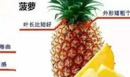 台湾凤梨吃瓜群众视频,揭秘网络视频背后的热议现象