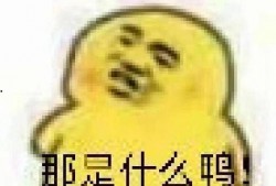 吃瓜表情代码,网络社交中的趣味与智慧