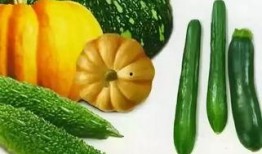 泰安叉六吃瓜,揭秘网络热词背后的吃瓜故事