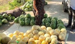 吃瓜热点图片高清,高清吃瓜热点图片大揭秘