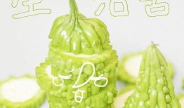 长辈们吃瓜内容,那些年我们一起追的“瓜”