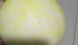 吃白皮瓜嗓子齁,揭秘饮食与健康之谜