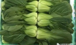 康定中学吃瓜,揭秘校园里的热点话题