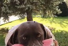 吃瓜仙人看戏,揭秘娱乐圈幕后大戏