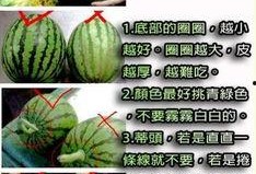 西沙瓜怎么切块吃,夏日清凉解渴的完美选择