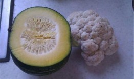 吃瓜直播间菜花,菜花带你领略吃瓜界的别样魅力