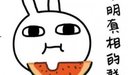 别人吃瓜我偷瓜的说说,偷瓜背后的趣味故事