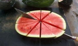 二瓜吃瓜精,揭秘娱乐圈背后的那些事儿