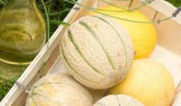 吃二觉双瓜饭前吃吗,二觉双瓜饭前还是饭后？揭秘最佳食用时间