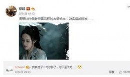 娘娘在线吃瓜小说,娘娘在线吃瓜，揭秘后宫秘闻