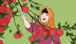 平和ib吃瓜,揭秘“吃瓜”背后的真相与启示