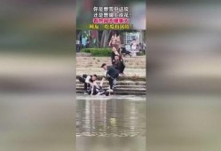 瑞士吃瓜群众视频,瑞士吃瓜群众视角下的趣味生活瞬间