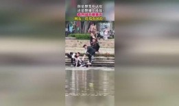 瑞士吃瓜群众视频,瑞士吃瓜群众视角下的趣味生活瞬间