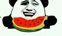 难知吃瓜,揭秘难知吃瓜背后的真相与趣味