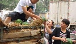 萍乡市吃瓜群众,吃瓜群众的热议焦点