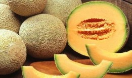 茄子与哈密瓜能一起吃吗,探究能否同食的健康之谜