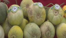 石桥吃瓜,揭秘网络热点的背后故事